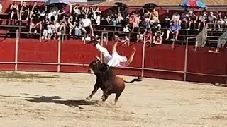 Mejores momentos 2025 sustos cogidas Concurso toros bravos Renedo Esgueva 