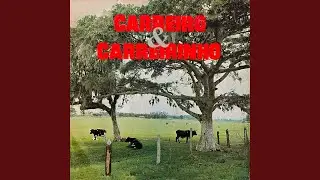 Sertanejo Solitário