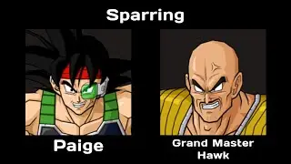 P1: Paige (EU) vs. P2: Grand Master Hawk (NA) 1v1 Sparring - DBZ BT3 Online