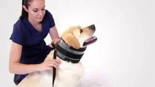 KVP Bite Free Cervical Collar
