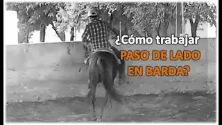 Arrendando Caballos - V14  ¿Cómo trabajar el Paso de Lado en Barda?