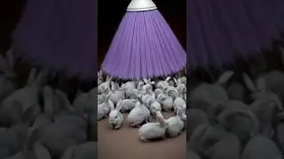 🐰 Dust Bunnies REVEALED! The Hilarious Hidden World in Your Home! 🧹😂 #Shorts #Comedy #MustSee