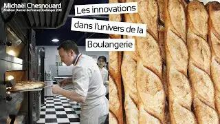 Levain naturel : cr&eacute;er, entretenir et r&eacute;ussir la fermentation lente avec Micka&euml;l Chesnouard (MOF)