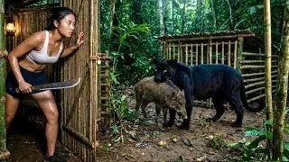 A TENSE MOMENT OF SURVIVAL: A BLACK PANTHER SNEAKED INTO MY SHELTER TO CATCH PIG