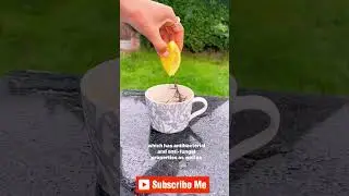 The Power of Lemon, Ginger, and Rosemary Tea! 🍋🌿