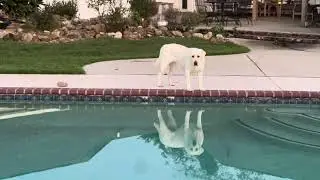 Stop copying me!