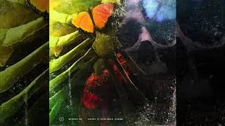 Halsey - Without Me (Illenium x JuiceWRLD Mix)