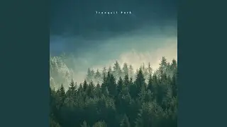 Tranquil Path