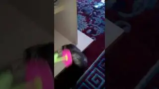 Мимишка