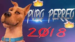 PURO PERREO #12 🔥 - Explota Tu Joda 🔥 DJ SOGA - VERANO 2018🌺