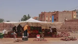 a walk on the wild side - maroc 2025
