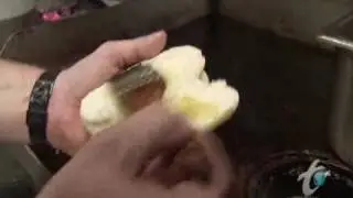 Man Vs. Food - Monte Christo Double Dog