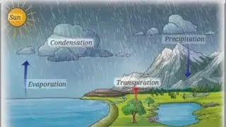 Heat transfer in nature ( chapter 7 class 7th NCERT)