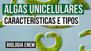 ALGAS UNICELULARES: características e tipos | Biologia para o Enem | Cláudia de Souza Aguiar