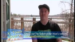 The Salamander Man