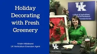 Holiday Decorating with Fresh Natural Greenery
