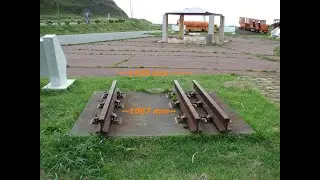 RLMS: Gauge