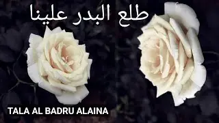 Tala Al Badru Alaina Naat By Moni Syed | Aye Sarkar Madina | طلع البدر علینا | Naat  2023 | Madina |