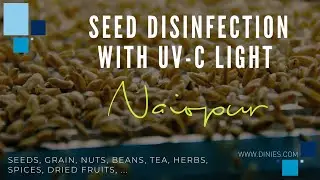 UV-C disinfection in agriculture and food industry - disinfection process for seeds, grain, herbs,..