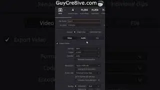 Vertical Video DaVinci Resolve 20 👆 Full Above