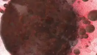 Mr. Thunderbolt - Belli (Warp Trip Visualizer Video |4K 60 FPS)