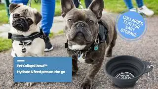 Corporate Recognition - Promo Products for your Pets!