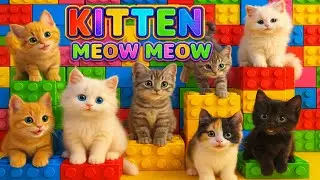 Котенок мяу -мяу 🐱💛 |Очаровательные котяты и игрушки Lego |Детское видео