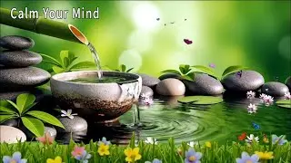 Deep Relaxing Music 🌿Gentle Water Sounds for Stress Relief ,Better Sleep,Reduce Anxiety & Depression