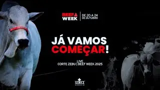 Casa Do Nelore IF - Beef Week Semex com destaque Nelore IF