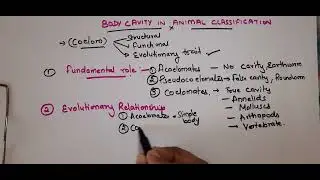 Class 11, Chapter 4, Why Body Cavity Matters in Animal Classification 🧬 | Acoelomate vs Coelomate