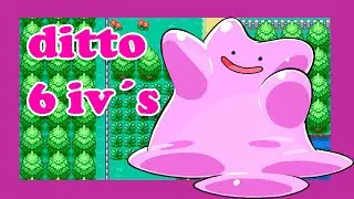 DITTO 6 IV pokemon rojo fuego 🔥🔥🔥