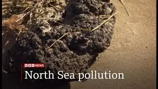 North Sea tanker and cargo ship collision - plastic pollution beaches (3) (UK/North Sea) 18/Mar/2025