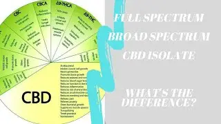 Understanding #CBD part 2