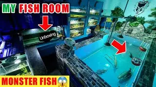 MY FISH ROOM TOUR *NEW* |MONSTER FISH UNBOXING PREDATOR TANK POND AQUARIUM SHARK ARAPAIMA India Ikan