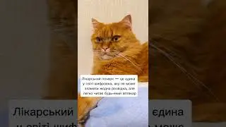 Почерк #жартиукраїнською  #анекдотиукраїнською  #гуморукраїнською #анекдот #гуморукраїна #мем #війна