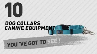 Dog Collars Canine Equipment // Top 10 Most Popular