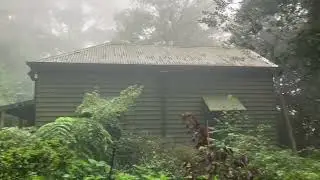 Weather diaries. Dripping wet at Forest Glade, Mt Macedon. 13th Mar 2025.