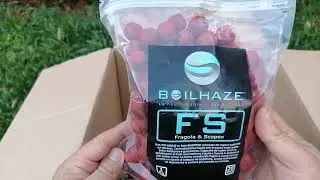 BOILHAZE