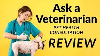 Revolutionizing Pet Care: My Honest Review of Vetster's Ask a Vet Service!