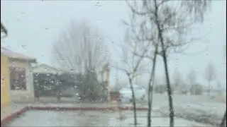 Хаммага қорли саломлар Самарқнддан!❄️❄️