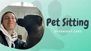 How to prepare for your first dog sitting job