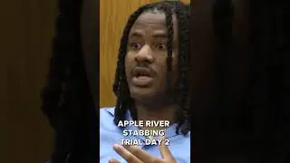 What happened in the Apple River stabbing trial?