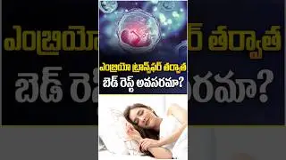 Is Complete Bed Rest Necessary After Embryo Transfer Telugu || 9M Fertility #shorts #embryotransfer