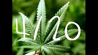 The Film Freaks: Stoners The 4/20 Show (HD)