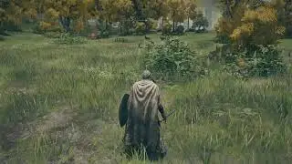 On PS5 grinding camos BO6 grinding on GTA 5 Mafia old country ready or not grinding on GTA5 200 mil+