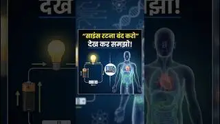 Best Free Science Learning Website for Students | Physics and Biology in 3D