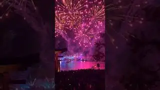 NEW | Luminous the Symphony of Us | Fireworks at Epcot #disney #shorts #fireworks #epcot #new #wdw