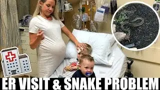 BABY WATCH // DAY IN THE LIFE OF A MOM // ER VISIT & SNAKE PROBLEM // BEAUTY AND THE BEASTONS 2018