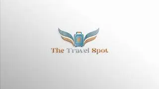 Stunning Travel Agency Logo Reveal Animation | MS Made