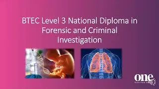 Forensic & Criminal Investigation Diploma